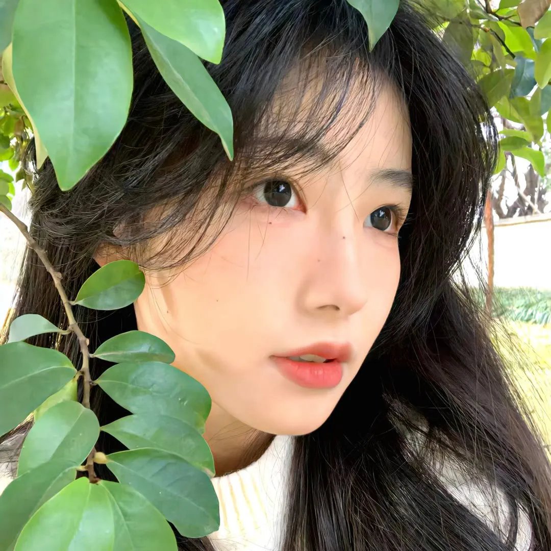 犬心犬意